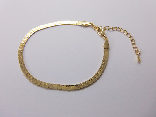 PULSEIRA ESTEIRA